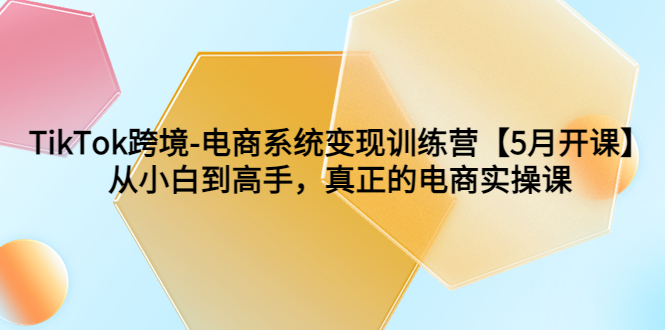 TikTok跨境-电商系统变现训练营【5月新课】从小白到高手，真正的电商实操课-微众资源
