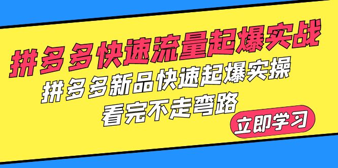 拼多多-快速流量起爆实战，拼多多新品快速起爆实操，看完不走弯路