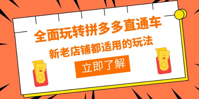 693全面玩转拼多多直通车，新老店铺都适用的玩法（12节精华课）