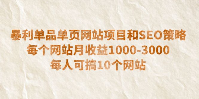 （6503期）暴利单品单页网站项目和SEO策略 每个网站月收益1000-3000 每人可搞10个