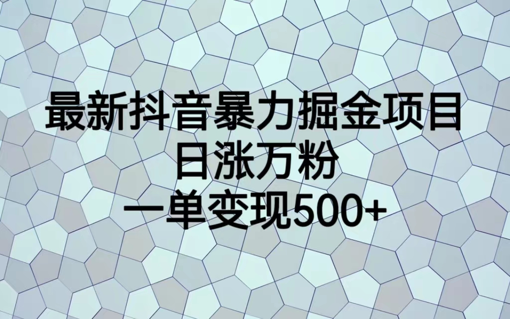 最新抖音暴力掘金项目，日涨万粉，一单变现500+-19资源网-冒泡网-中赚网论坛