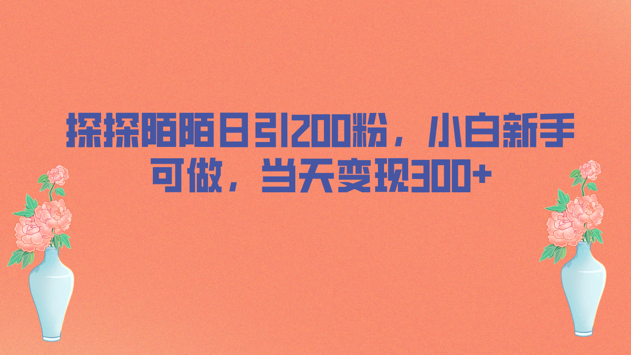 探探陌陌日引200粉，小白新手可做，当天就能变现300+