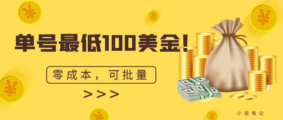 单号最低100美金，零成本，小白无脑。可复制，可扩大。