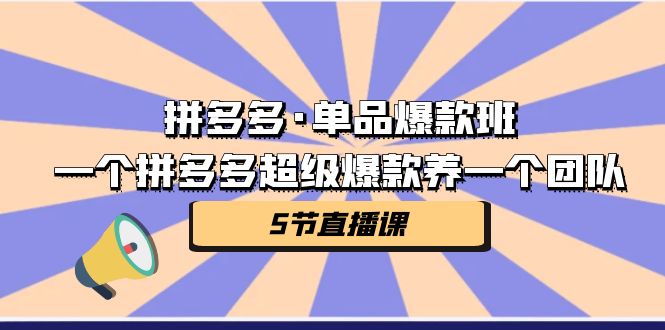 拼多多·单品爆款班，一个拼多多超级爆款养一个团队（5节直播课）