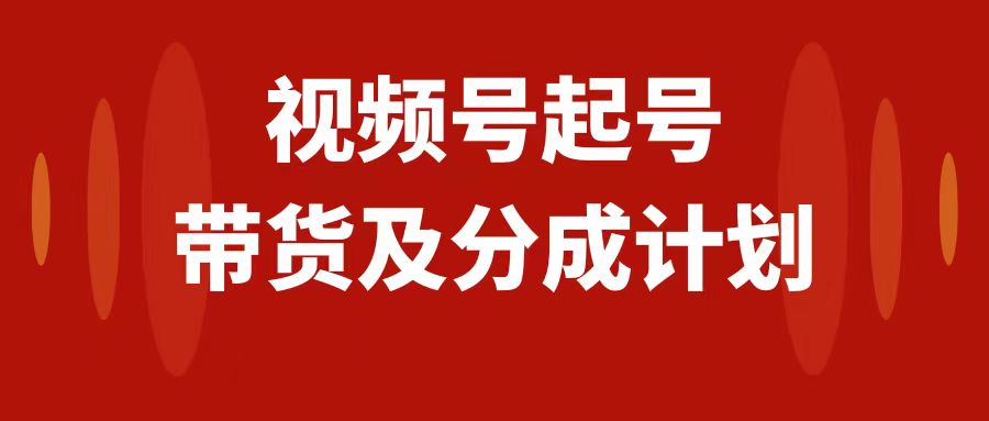 视频号快速起号，分成计划及带货，0-1起盘、运营、变现玩法，日入1000+-微众资源