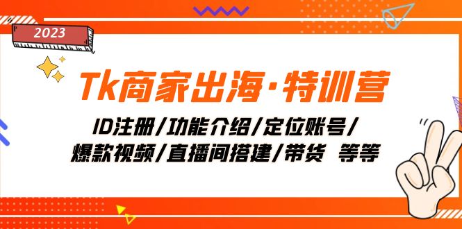 Tk商家出海·特训营：ID注册/功能介绍/定位账号/爆款视频/直播间搭建/带货.-微众资源