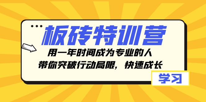 板砖特训营，用一年时间成为专业的人，带你突破行动局限，快速成长-微众资源