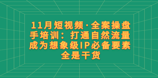 11月短视频·全案操盘手培训：打通自然流量 成为想象级IP必备要素 全是干货-微众资源