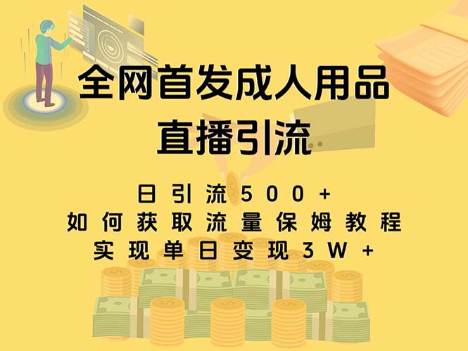 (8193期)最新全网独创首发,成人用品直播引流获客暴力玩法,单日变现3w保姆级教程