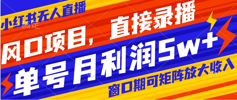 风口项目，小红书无人直播带货，直接录播，可矩阵，月入5w+-微众资源