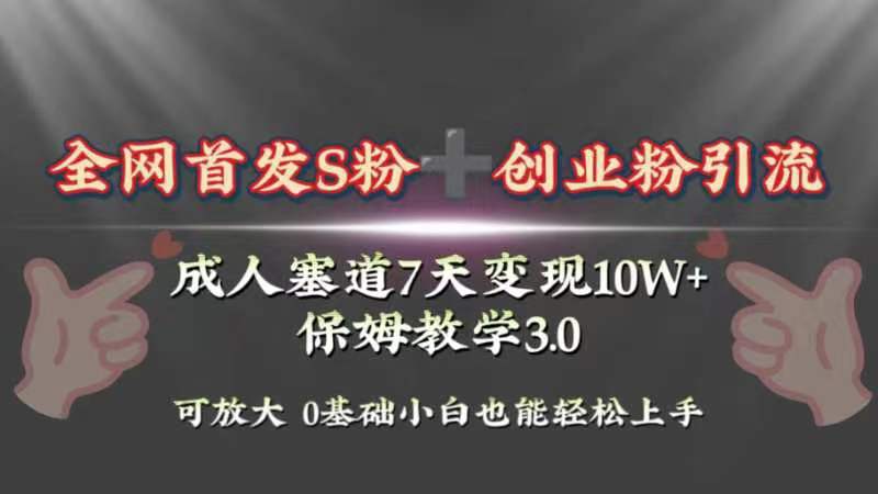 (8337期)全网首发s粉加创业粉引流变现,成人用品赛道7天变现10w+保姆教学3.0