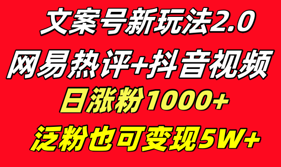 文案号新玩法 网易热评+抖音文案 一天涨粉1000+ 多种变现模式 泛粉也可变现-微众资源