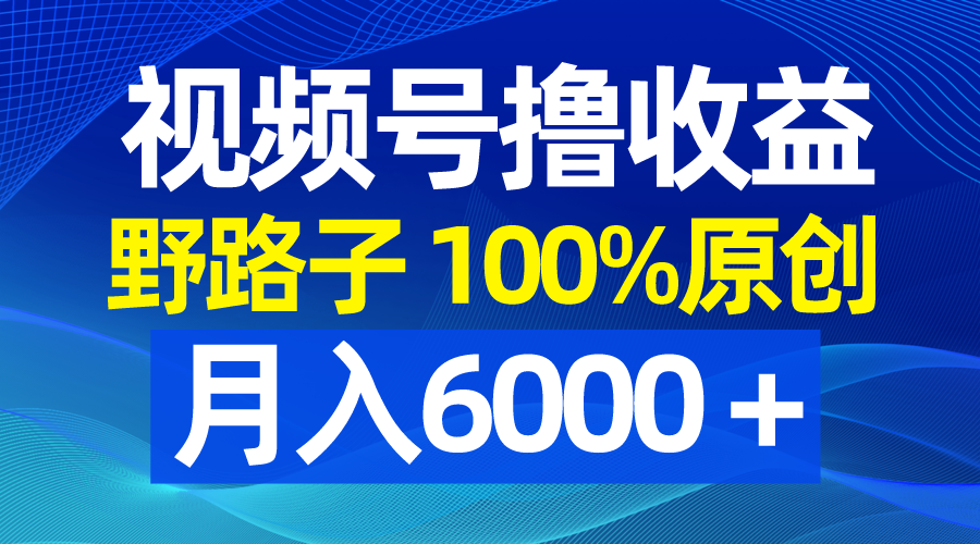 视频号野路子撸收益，100%原创，条条爆款，月入6000＋-微众资源