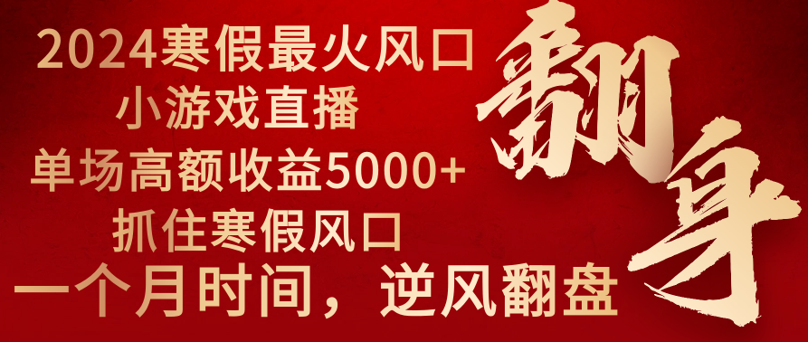 2024年最火寒假风口项目 小游戏直播 单场收益5000+抓住风口 一个月直接提车-微众资源