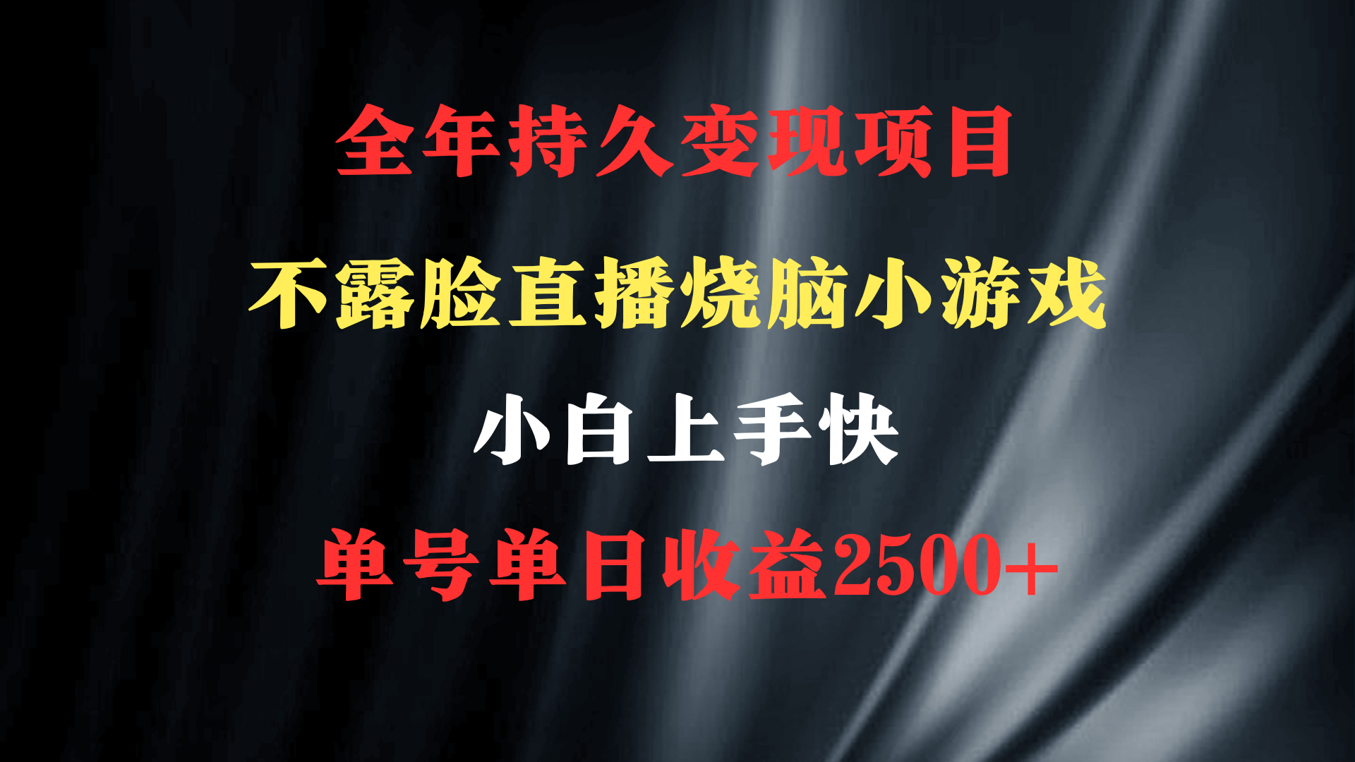 图片[1]-2024年 最优项目烧脑小游戏不露脸直播 小白上手快 无门槛 一天收益2500+-阿灿说钱