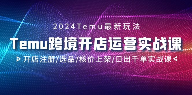 2024Temu跨境开店运营实战课，开店注册/选品/核价上架/日出千单实战课-微众资源