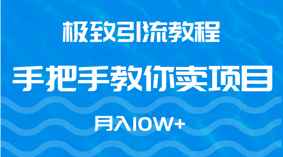 极致引流教程，手把手教你卖项目，月入10W+-微众资源