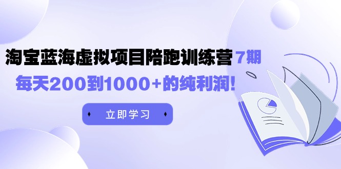 黄岛主《淘宝蓝海虚拟项目陪跑训练营7期》每天200到1000+的纯利润-微众资源