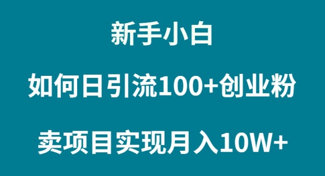 新手小白如何通过卖项目实现月入10W+-微众资源