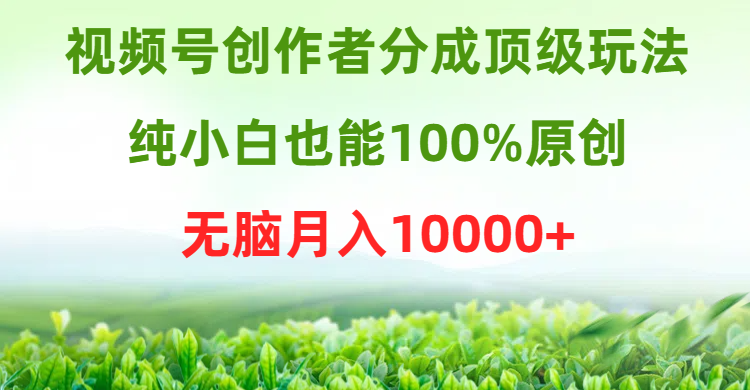 视频号创作者分成顶级玩法，纯小白也能100%原创，无脑月入10000+-微众资源