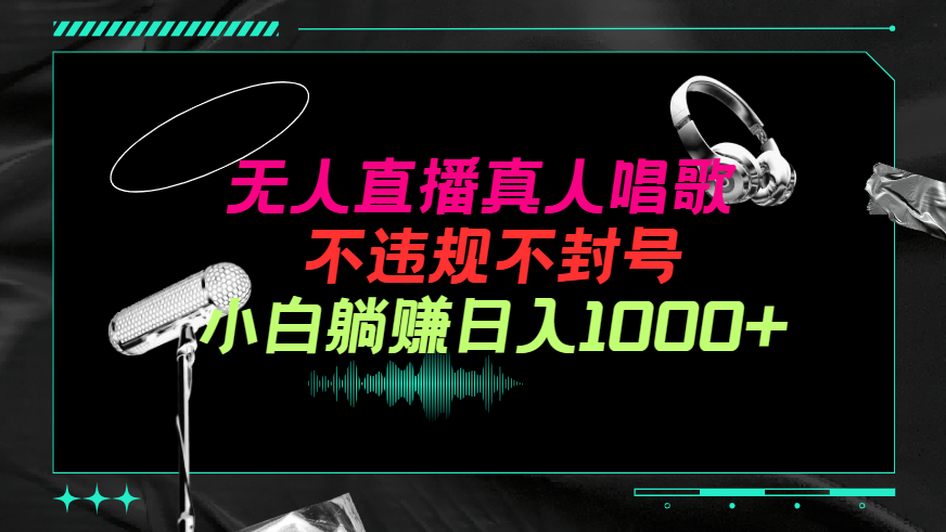 (9622期）抖音24小时无人直播音乐，不违规，不封号纯撸音浪，小白实操当天日入1000+-微众资源