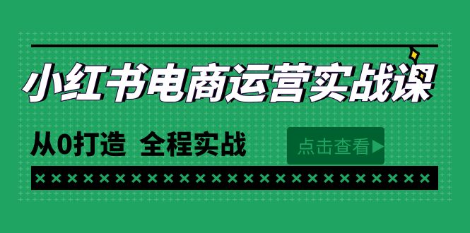 最新小红书·电商运营实战课，从0打造  全程实战（65节视频课）-微众资源