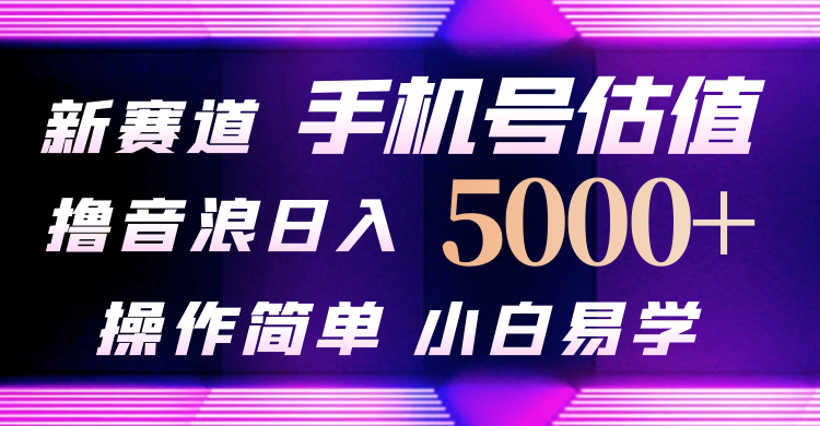抖音不出境直播！最新手机号估值玩法，轻松日入5000+，快速掌握音浪技巧！