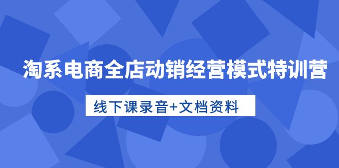淘系电商全店动销经营模式特训营，线下课录音+文档资料-微众资源