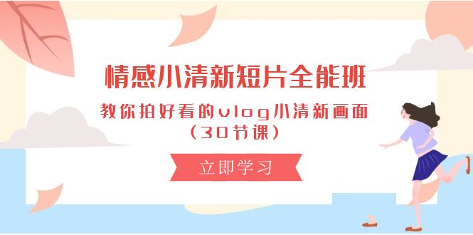 情感 小清新短片-全能班，教你拍好看的vlog小清新画面 (30节课)-微众资源