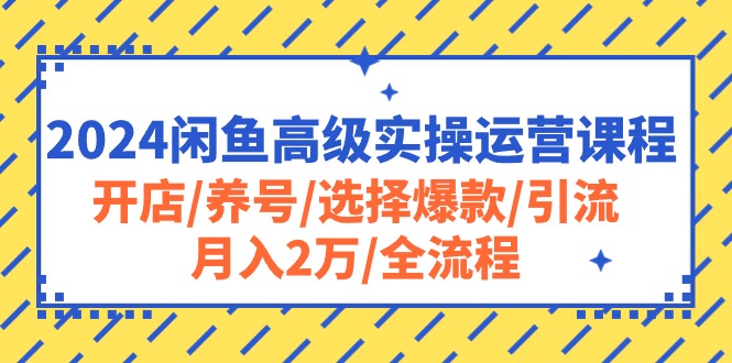 2024闲鱼高级实操运营课程：开店/养号/选择爆款/引流/月入2万/全流程-微众资源