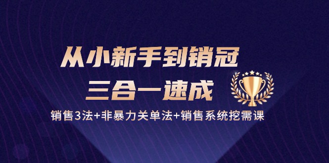 从小新手到销冠 三合一速成：销售3法+非暴力关单法+销售系统挖需课 (27节)-微众资源