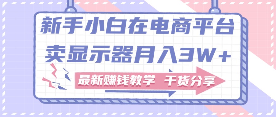 新手小白如何做到在电商平台卖显示器月入3W+，最新赚钱教学干货分享-微众资源
