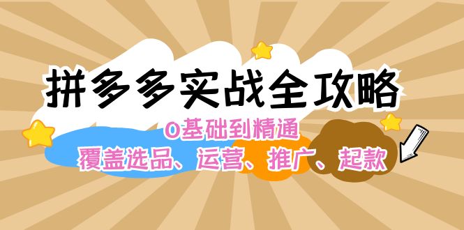 拼多多实战全攻略：0基础到精通，覆盖选品、运营、推广、起款 --皓收集 | 网创宝典