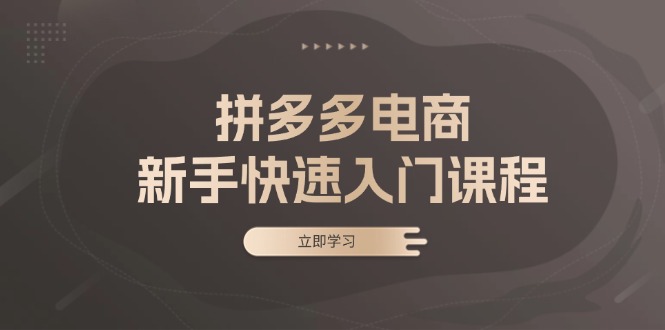 （13289期）拼多多电商新手快速入门课程：涵盖基础、实战与选款，助力小白轻松上手-小白兔技术部落