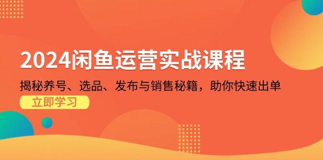 （13290期）2024闲鱼运营实战课程：揭秘养号、选品、发布与销售秘籍，助你快速出单-小白兔技术部落