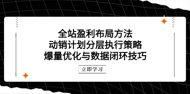 全站盈利布局方法：动销计划分层执行策略，爆量优化与数据闭环技巧_酷乐网