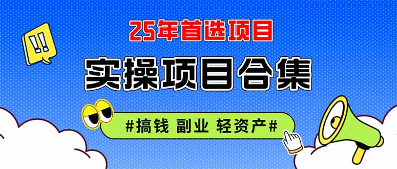 2025实操项目合集挂机类型直播类型轻资产创业类型课程分享各项目介-951博客