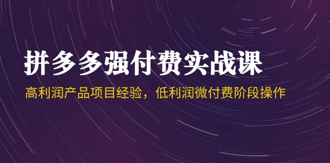 拼多多强付费实战课-44期，高利润产品项目经验，低利润微付费阶段操作_酷乐网