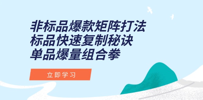 （15068期）非标品爆款矩阵打法，标品快速复制秘诀，单品爆量组合拳-8U创业网