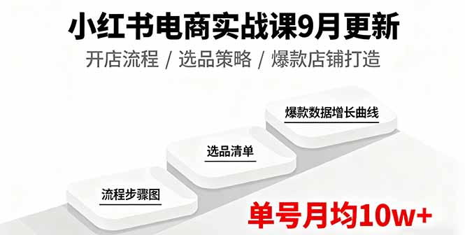 小红书电商实战课9月更新，开店流程/选品策略/爆款店铺打造，单号月均10w+-951博客