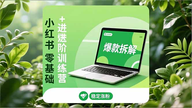 小红书零基础+高阶训练营：安全养号、爆款拆解、长效运营，实现稳定涨粉与变现-951博客