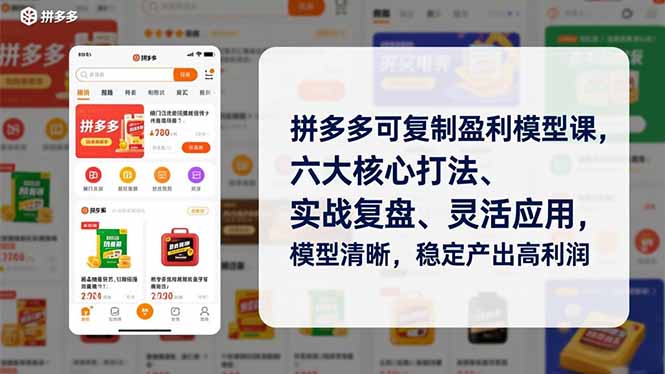 拼多多可复制盈利模型课，六大核心打法、实战复盘、灵活应用，模型清晰，稳定产出高利润_酷乐网