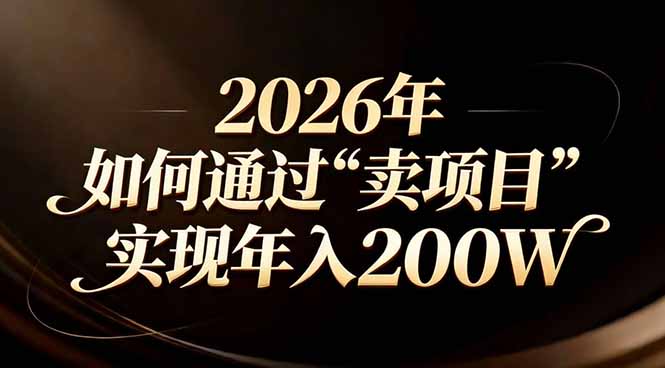 站在2026年的十字路口：一个普通人如何通过卖项目实现年入200万-951博客