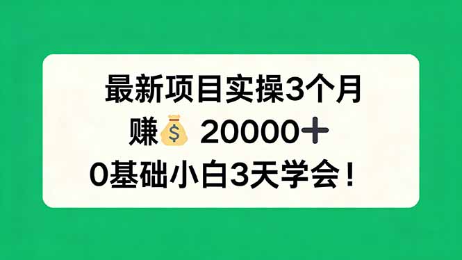 最新项目实操3个月，赚钱20000+，0基础小白3天学会！_酷乐网